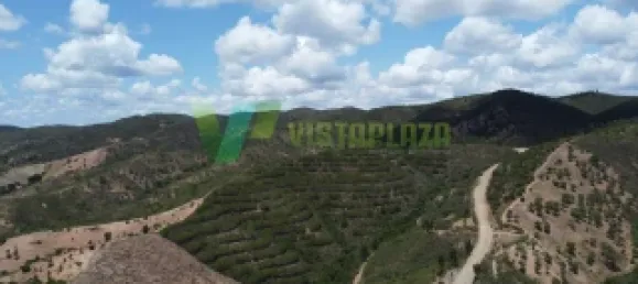 Земельный участок 51320м² в Сан Бартоломеу де Мессинеш, Португалия № 77722 6