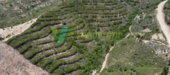 Земельный участок 51320м² в Сан Бартоломеу де Мессинеш, Португалия № 77722 5