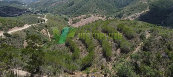 Земельный участок 51320м² в Сан Бартоломеу де Мессинеш, Португалия № 77722 4