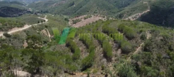 Земельный участок 51320м² в Сан Бартоломеу де Мессинеш, Португалия № 77722 8