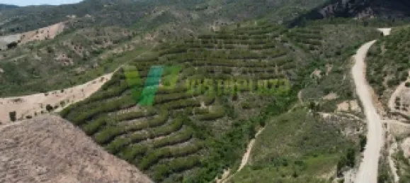 Земельный участок 51320м² в Сан Бартоломеу де Мессинеш, Португалия № 77722 7