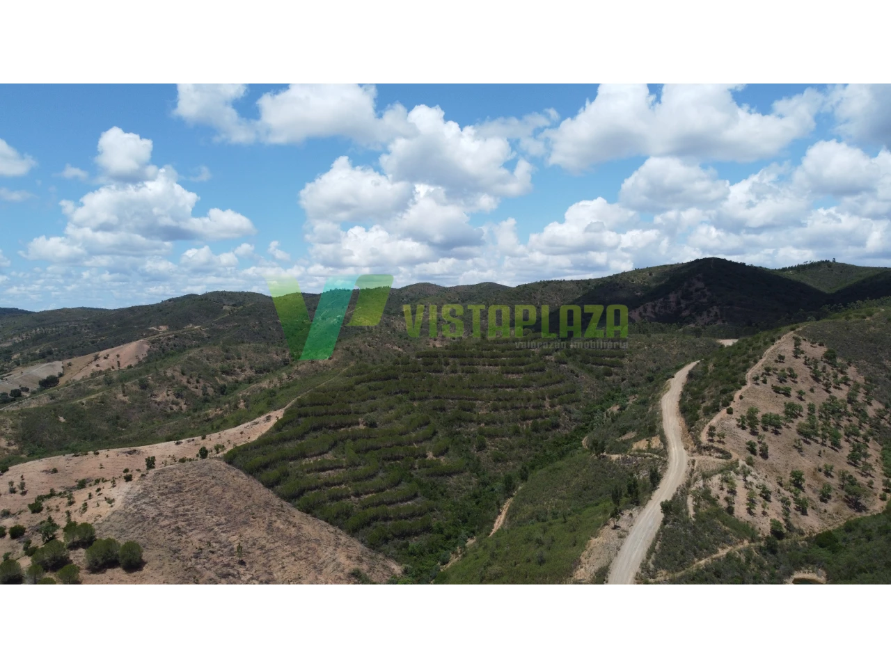 Земельный участок 51320м² в Сан Бартоломеу де Мессинеш, Португалия № 77722