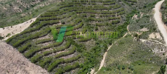 Земельный участок 51320м² в Сан Бартоломеу де Мессинеш, Португалия № 77722 2