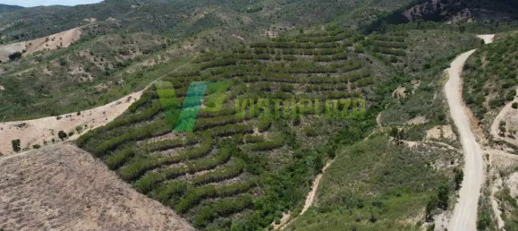 Земельный участок 51320м² в Сан Бартоломеу де Мессинеш, Португалия № 77722 3