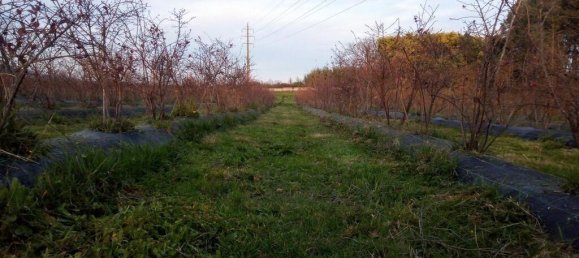 13249m² Land in Orjais, Portugal No. 140593 7