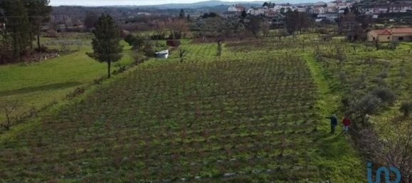 13249m² Land in Orjais, Portugal No. 140593 10