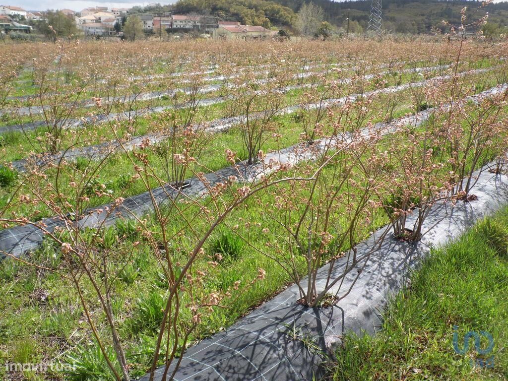 13249m² Land in Orjais, Portugal No. 140593