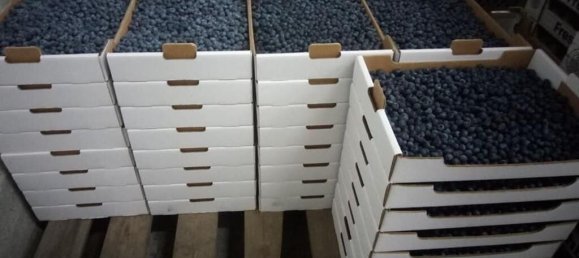 13249m² Land in Orjais, Portugal No. 140593 9