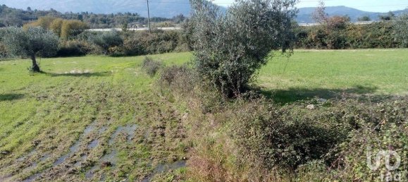  Land in Peraboa, Portugal No. 140240 3