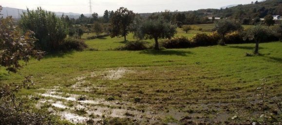  Land in Peraboa, Portugal No. 140240 14