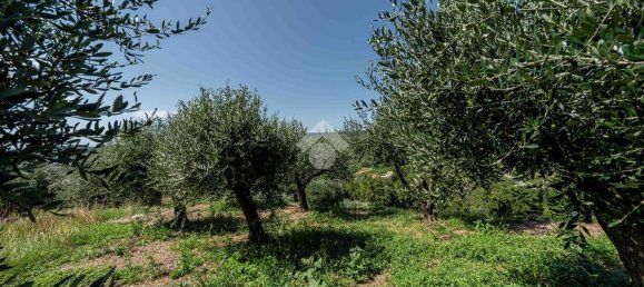 Terreno en Verona, Italy No. 314602 10