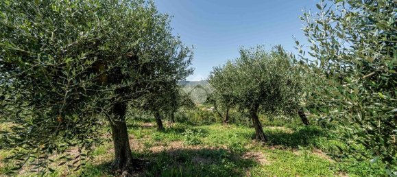 Terreno en Verona, Italy No. 314602 9