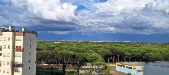 Квартира с 3 комнатами в Рим, Италия № 35640 59