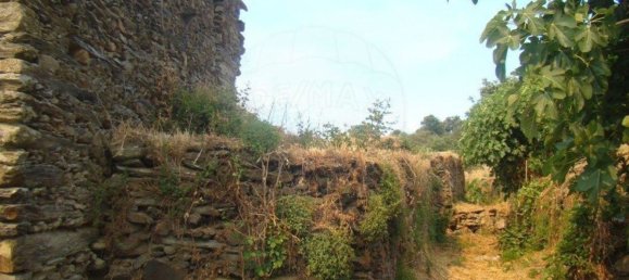 1 Schlafzimmer Haus in Sao Joao da Pesqueira, Portugal, Nr. 166397 4