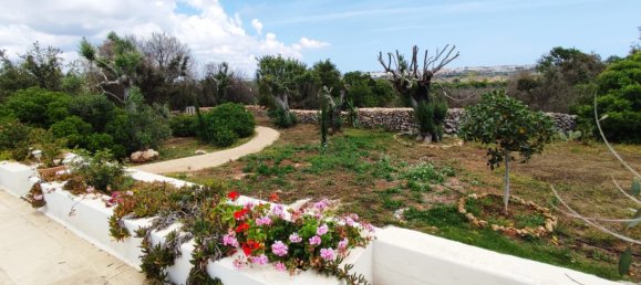 2 bedrooms Villa in Castrignano del Capo, Italy No. 283296 37
