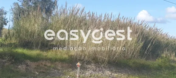  Land in Coimbra, Portugal No. 79709 10