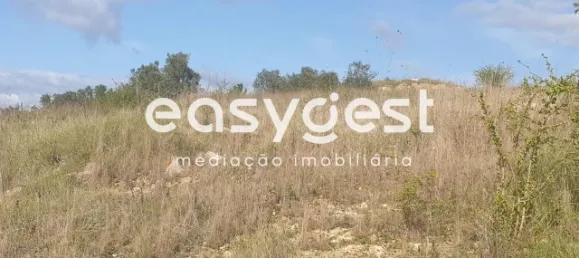  Land in Coimbra, Portugal No. 79709 12