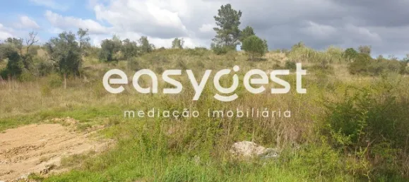  Land in Coimbra, Portugal No. 79709 3