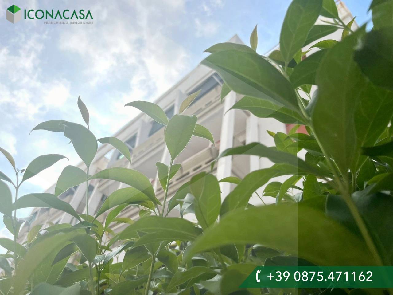 3-salle Appartement à Campomarino, Italy No. 21662