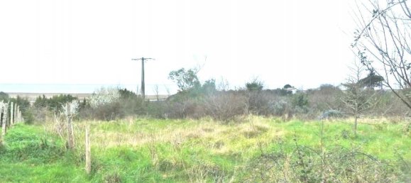 4 غرف نوم منزل في Arces, France رقم 197150 11