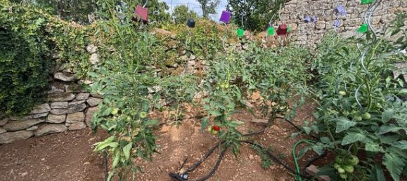 3 Schlafzimmer Haus in Deux-Sevres, France, Nr. 314538 4