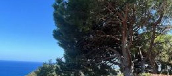 2 Schlafzimmer Haus in Bastia, France, Nr. 303106 8