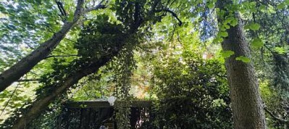 7غرفة قطعة أرض في Wandsbek, Germany رقم 296468 4