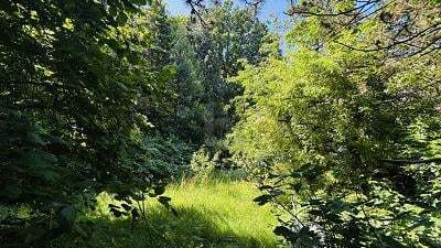 7غرفة قطعة أرض في Wandsbek, Germany رقم 296468