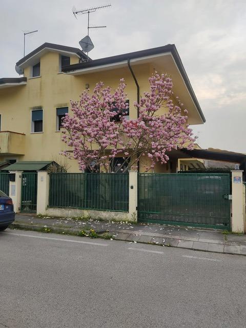 4-Zimmer Haus in Papozze, Italy, Nr. 5156