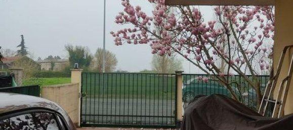 4-Zimmer Haus in Papozze, Italy, Nr. 5156 4