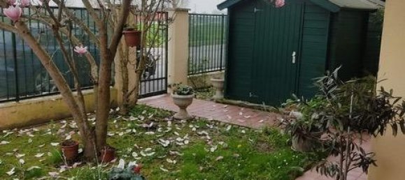 4-Zimmer Haus in Papozze, Italy, Nr. 5156 3