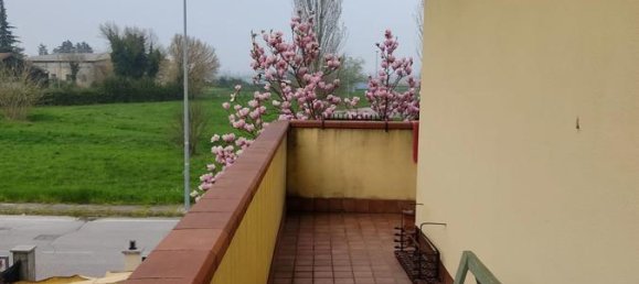 4-Zimmer Haus in Papozze, Italy, Nr. 5156 5