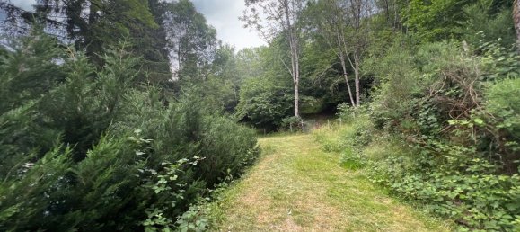 10 غرف نوم منزل في Oderen, France رقم 91620 11