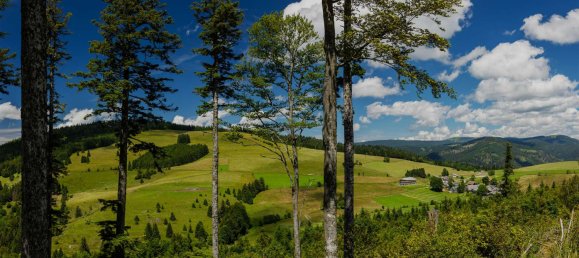 3 Schlafzimmer Haus in Lörrach, Germany, Nr. 90369 20