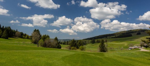 3 Schlafzimmer Haus in Lörrach, Germany, Nr. 90369 26