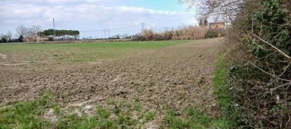 28500m² Land in Ravenna, Italy No. 201201 3