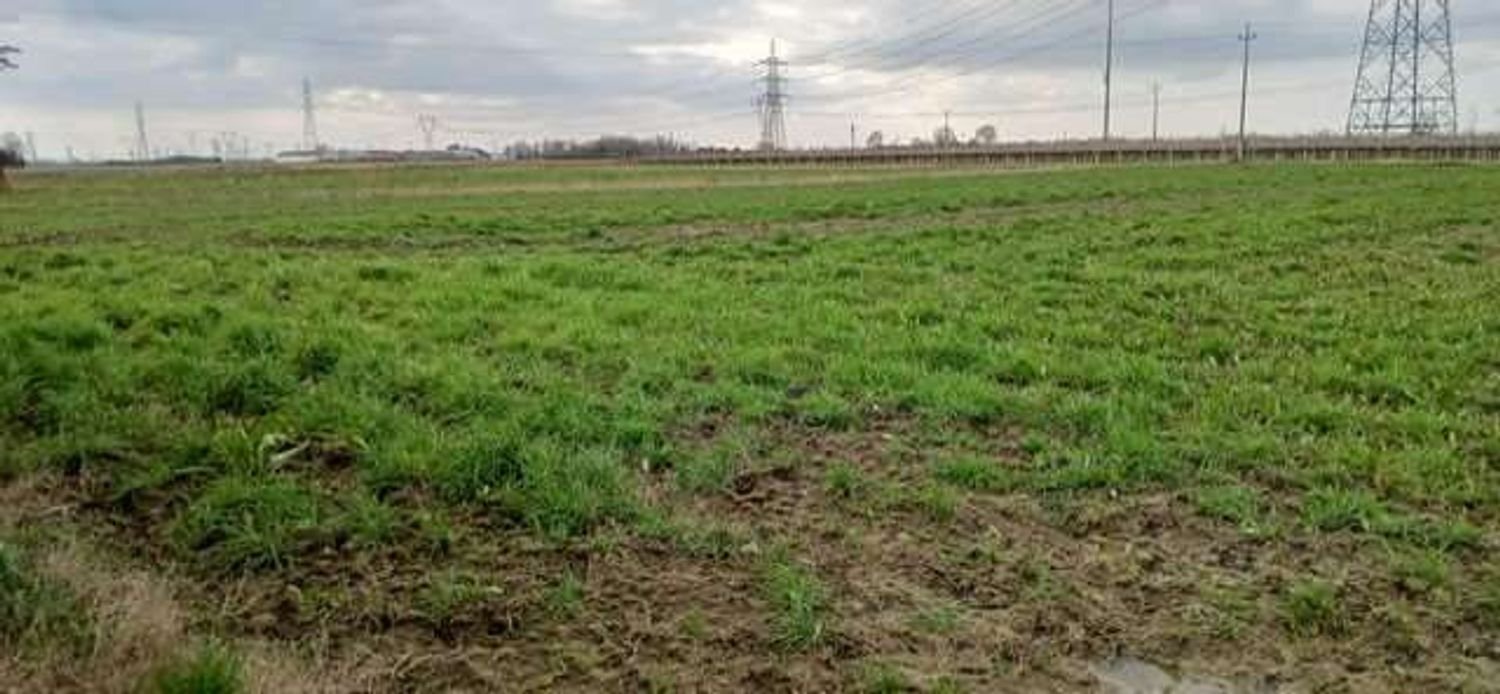28500m² Land in Ravenna, Italy No. 201201