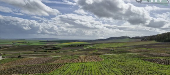 Вилла с 4 спальнями в Бетон, Франция № 58750 5