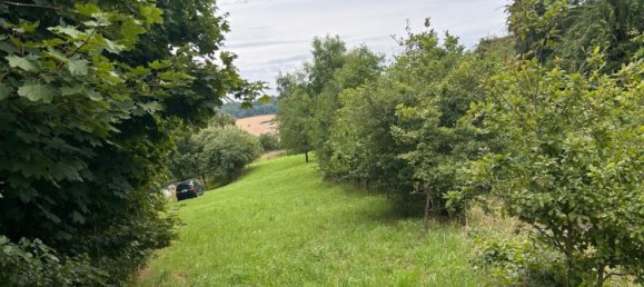 Terrain à Gottingen, Germany No. 262366 3