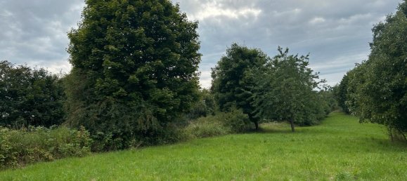 Terrain à Gottingen, Germany No. 262366 6