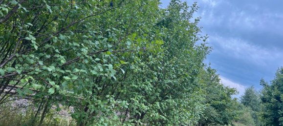 Terrain à Gottingen, Germany No. 262366 11