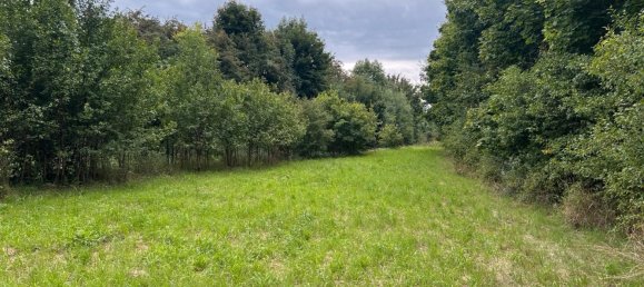 Terrain à Gottingen, Germany No. 262366 4