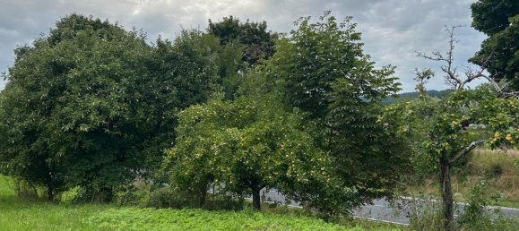 Terrain à Gottingen, Germany No. 262366 8