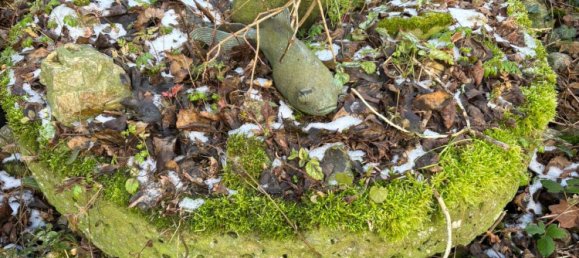 Дом с 3 спальнями в Мюнхен, Германия № 143444 13