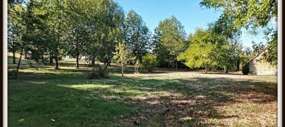 8 Schlafzimmer Haus in Lucay-le-Male, France, Nr. 65863 20