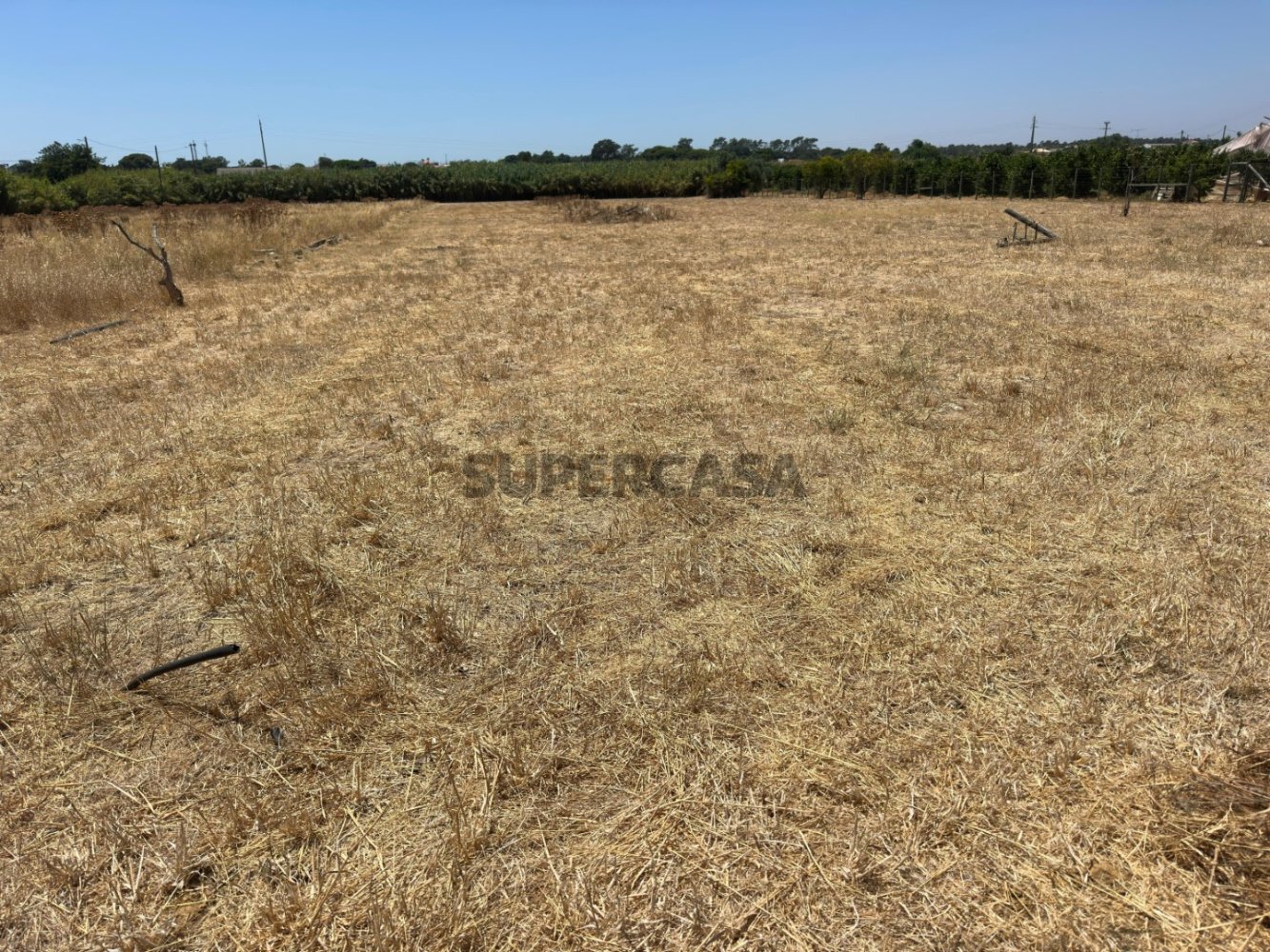 Terrain à Montenegro, Portugal 140m² No. 229074