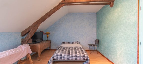 6 bedrooms House in Theillay, France No. 160886 10