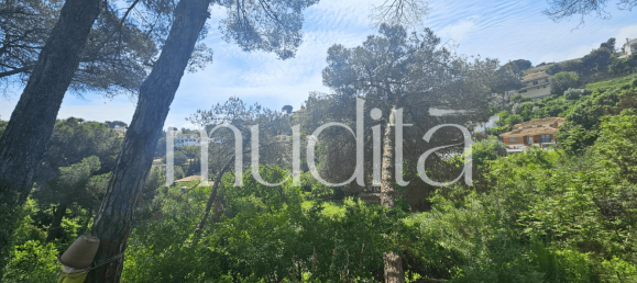 970m² Land in Argentona, Spain No. 188175 22