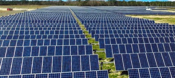 10000m² Land in Pisa, Italy No. 123109 4