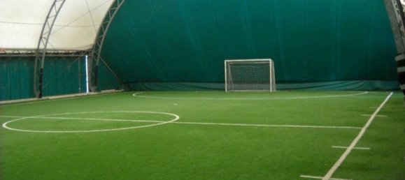 10000m² Land in Pisa, Italy No. 123109 3